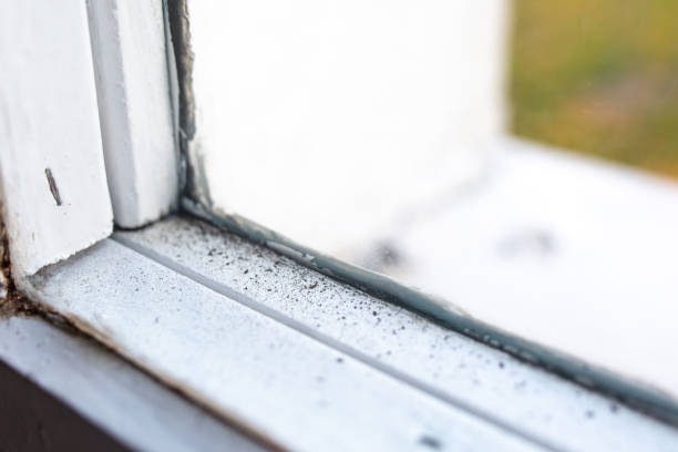Best Comprehensive Air Testing for Mold Contaminants  in North Seekonk, MA