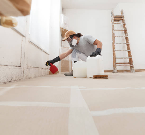 Mold Documentation for Insurance Claims in North Seekonk, MA